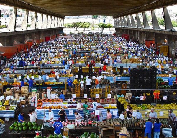 fornecedor de hortifruti qual ideal para meu negócio