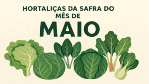 Quais são as hortaliças da safra do mês de maio