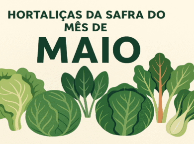 Quais são as hortaliças da safra do mês de maio