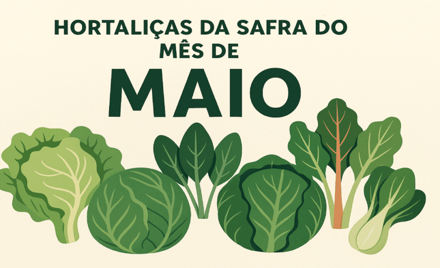 Quais são as hortaliças da safra do mês de maio
