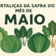 Quais são as hortaliças da safra do mês de maio